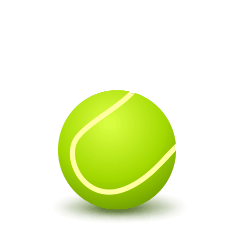Donate to Tennis program today!