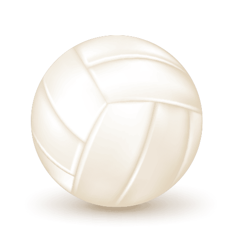Donate to Volleyball program today!